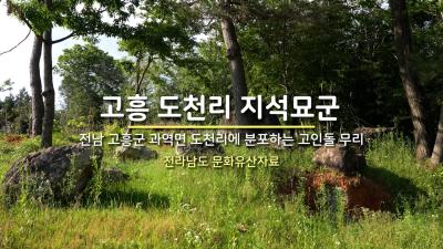 고흥 도천리 지석묘군