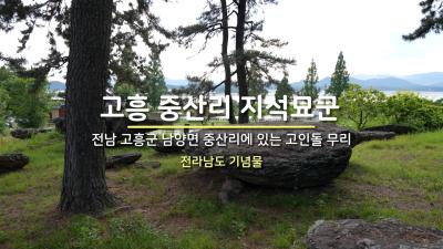 고흥 중산리 지석묘군