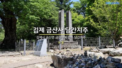 김제 금산사 당간지주