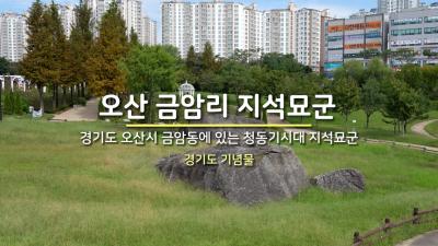 오산 금암리 지석묘군