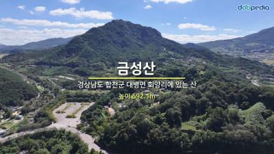 금성산