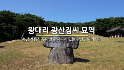 왕대리 광산김씨 묘역