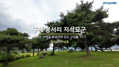 구례 봉서리 지석묘군