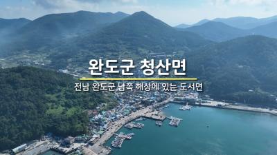 완도군 청산면