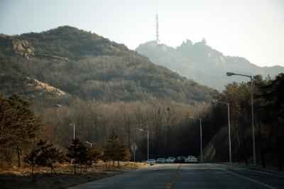 서울대학교