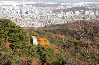 노원구 일대