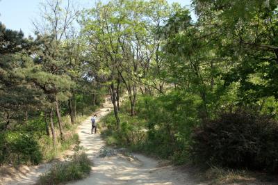 안산 금화체육공원