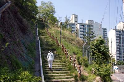 안산 올라가는 길