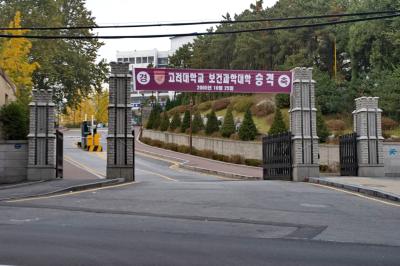 고려대학교, 교문