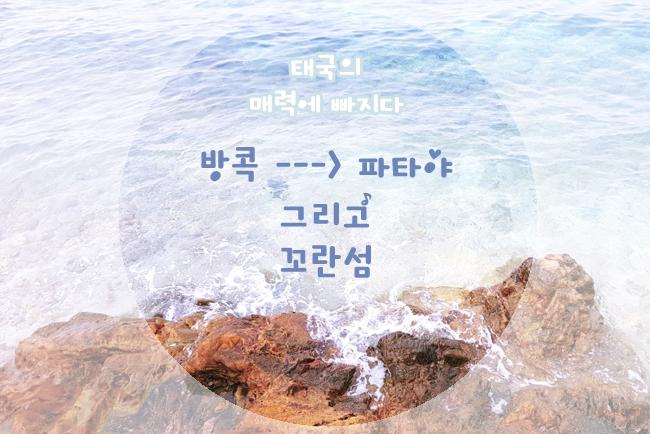 방콕-파타야 버스이동/ 좀티엔 야시장/ 산호섬(꼬란섬)