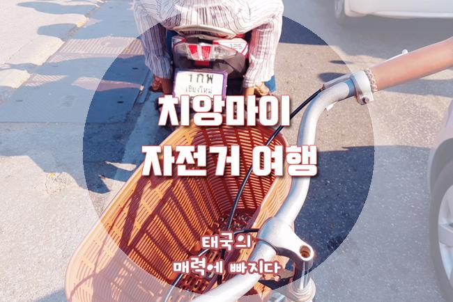 치앙마이 자전거 여행 <먹고, 보고, 타다>