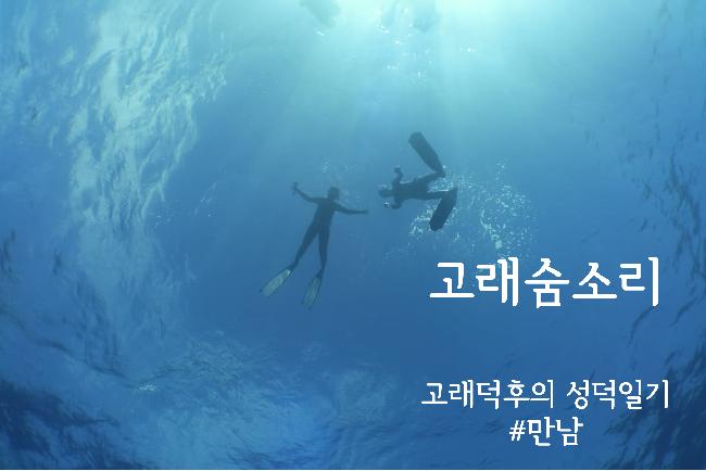 [고래숨소리] #2.고래찾아 삼만리