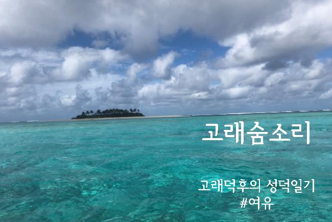 [고래숨소리] #3. 통가, 고래가 끝이 아니야.