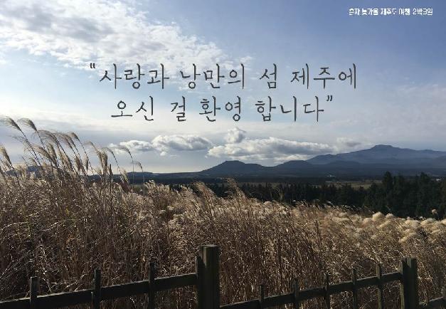 혼자 늦가을 제주도 여행 2박3일