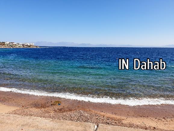 IN Dahab