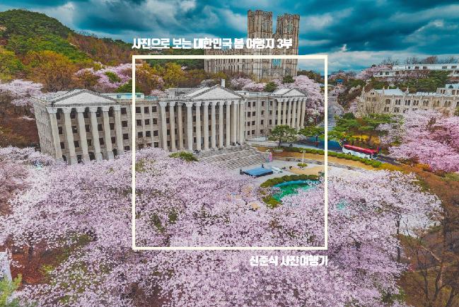 사진으로 보는 대한민국 봄 여행지 3부