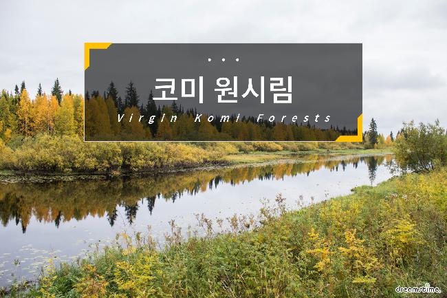 코미 원시림