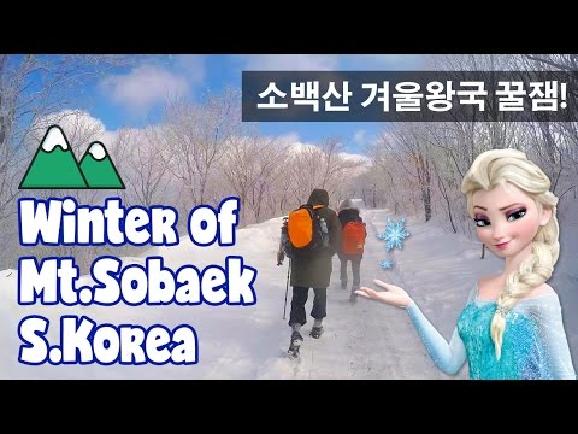 한국판 겨울왕국 소백산의 겨울로 들어가보자!