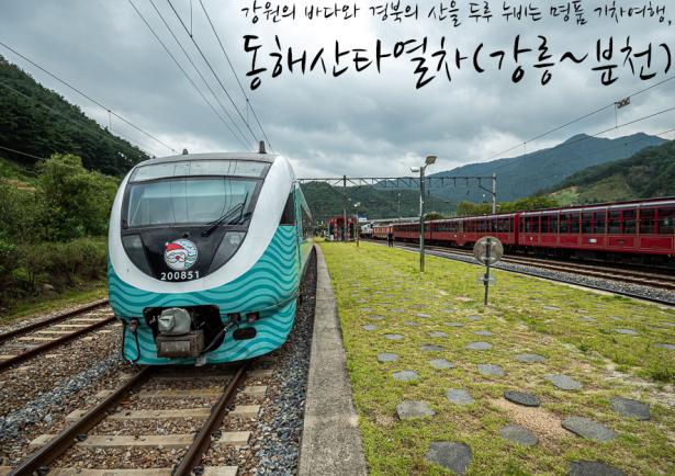 강원 바다와 경북 산촌의 만남, 동해산타열차