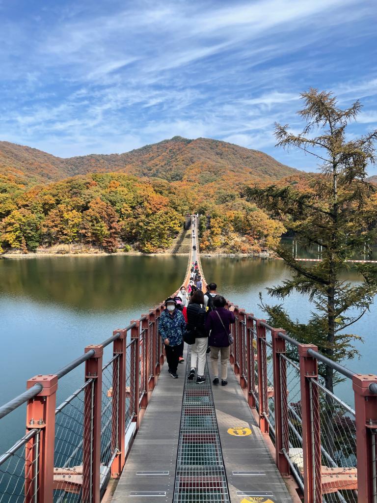 파주 마장호수 출렁다리의 가을 풍경 | 두피디아 여행기