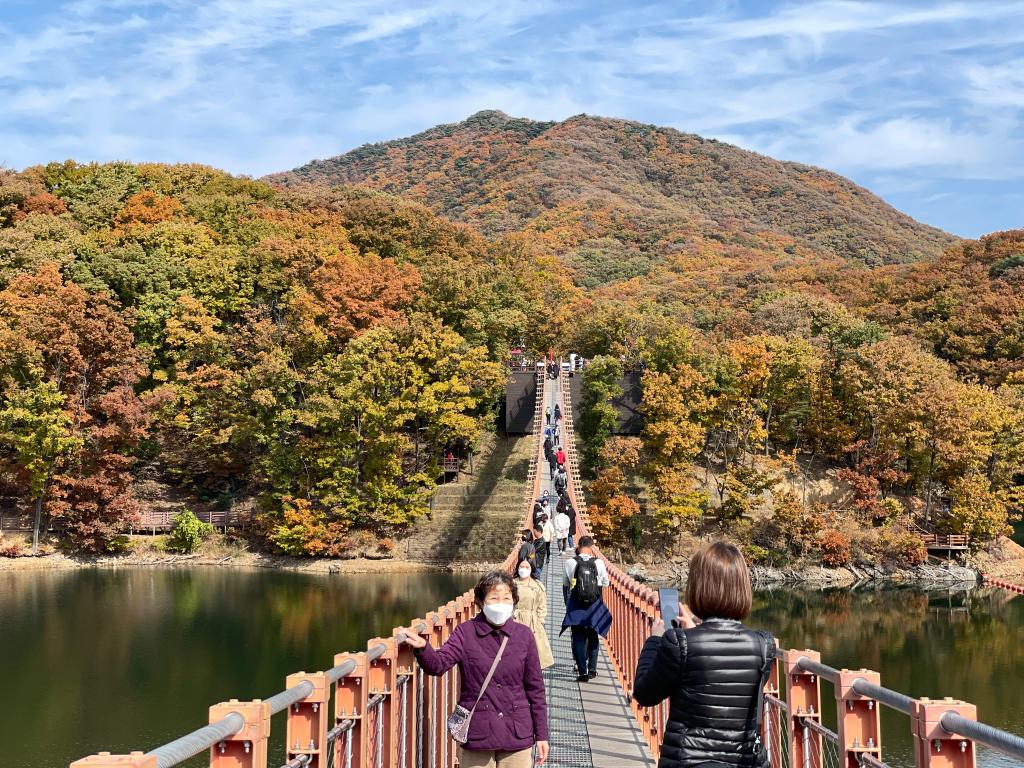 파주 마장호수 출렁다리의 가을 풍경 | 두피디아 여행기