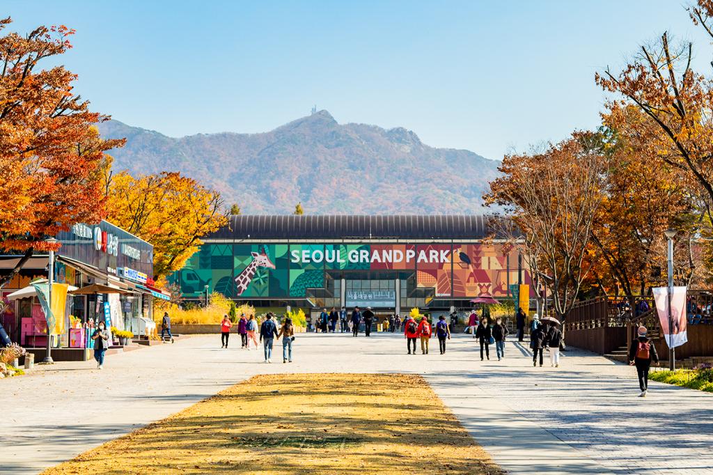 과천 서울대공원 코끼리열차와 스카이리프트 두피디아 여행기 0641