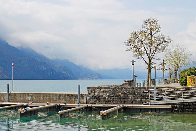 스위스 호수의 아름다움을 느끼다