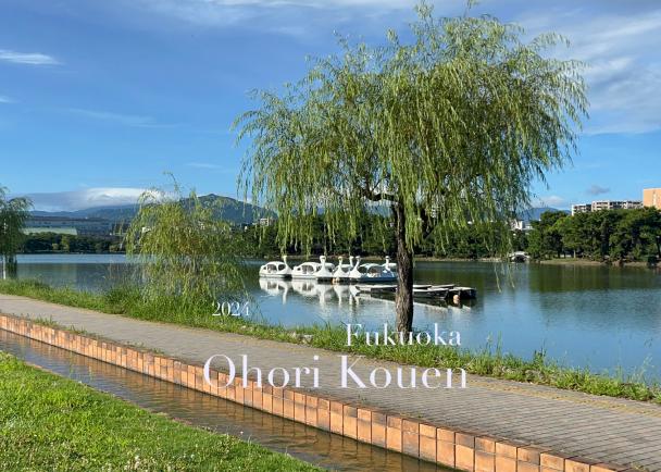 후쿠오카의 오호리공원을 즐기는 방법