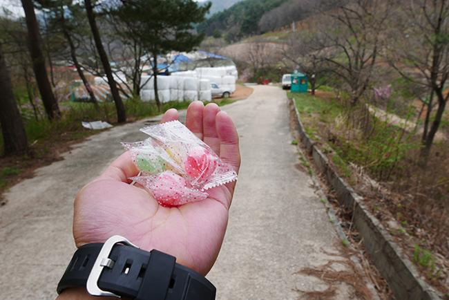 코리아 둘레길의 첫시작 해파랑길 종주, 해파랑길 백패킹 - 강릉(3), 강원특별자치도 > 강릉시, by 김역마