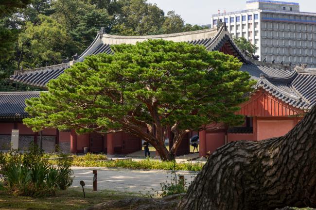 돌담길 따라 북촌 한 바퀴 돌아보기