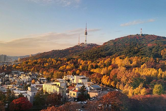 용산구에서 누릴 수 있는 다채로운 즐거움