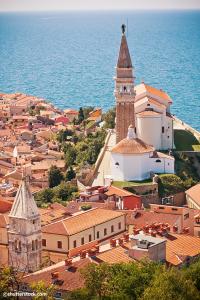 대부분의 여행객들은
크로아티아에서 이탈리아로 이동할 때
피란에 잠시 들른다.