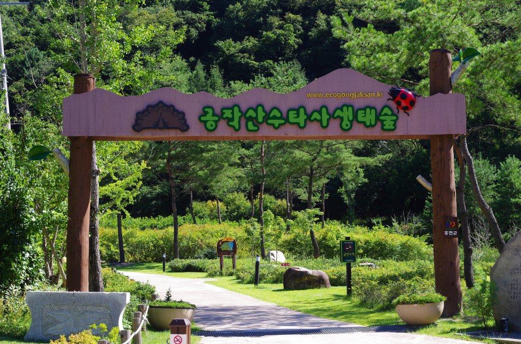 은행나무숲에 이어 공작산 수타사 생태숲 또한
홍천의 주요 볼거리로 꼽힌다.