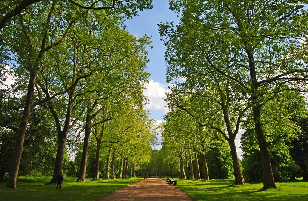 [3] 켄싱턴가든&amp;하이드파크

런던의 대표적인 공원으로 꼽히는 켄싱턴가든과 하이드파크.

크고 넓은 녹지와 아름다운 조경으로 런던 시민들은 물론

많은 여행자들의 마음까지 사로잡은 지역 명소이다.
