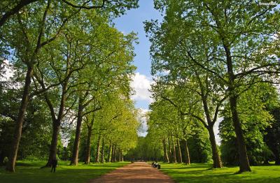 [3] 켄싱턴가든&하이드파크

런던의 대표적인 공원으로 꼽히는 켄싱턴가든과 하이드파크.

크고 넓은 녹지와 아름다운 조경으로 런던 시민들은 물론

많은 여행자들의 마음까지 사로잡은 지역 명소이다.
