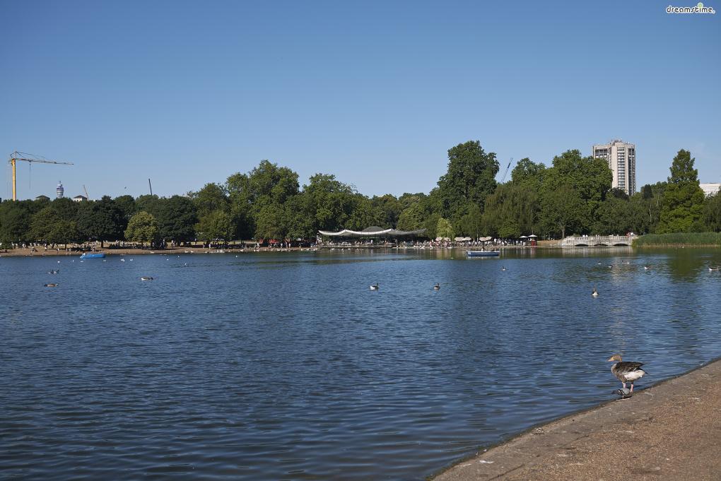 공원 안에는 백조들이 떠다니는 인공호수인 서펜타인 호수가 자리하고 있는데,

이 서펜타인 호수의 다리를 중심으로 동쪽을 하이드 파크(Hyde Park),

서쪽을 켄싱턴 가든(Kensington Gardens)으로 구분한다.
